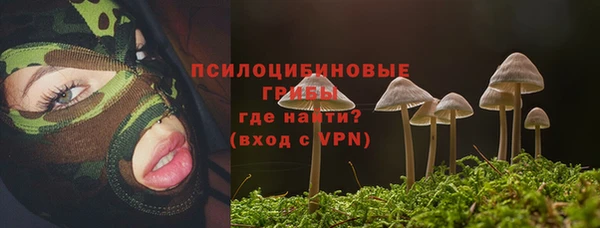метамфетамин Алексеевка