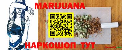 индика Рузаевка