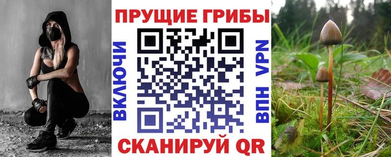 дарк нет формула  Осинники  Псилоцибиновые грибы мухоморы  купить закладку 