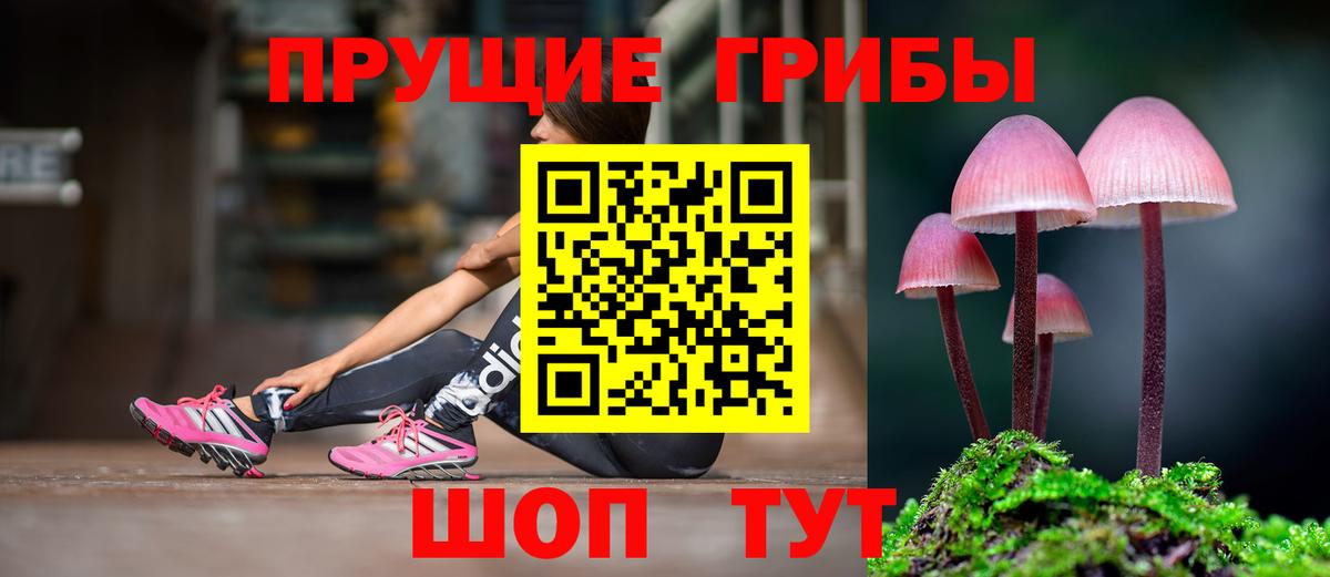 Псилоцибиновые грибы мухоморы Осинники